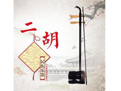 招聘惠州二胡家教老师